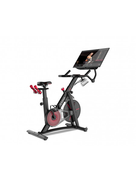 Велотренажер YESOUL Smart Spinning bike G1MAX черный